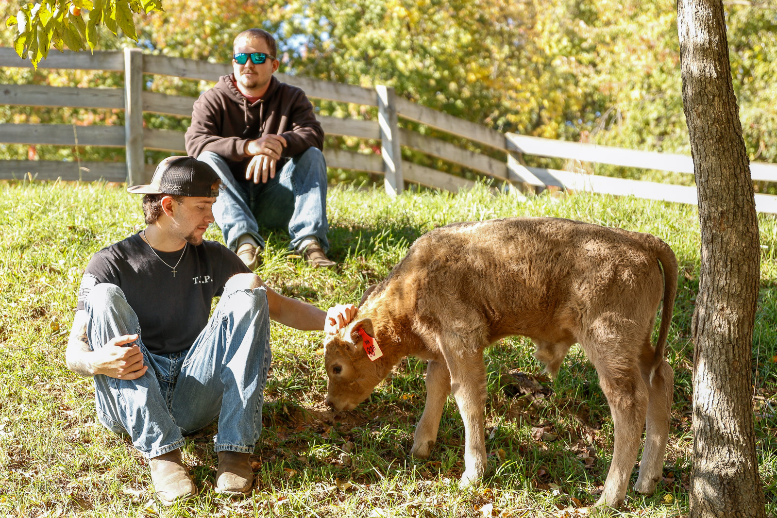 ANSC 246 students with calf