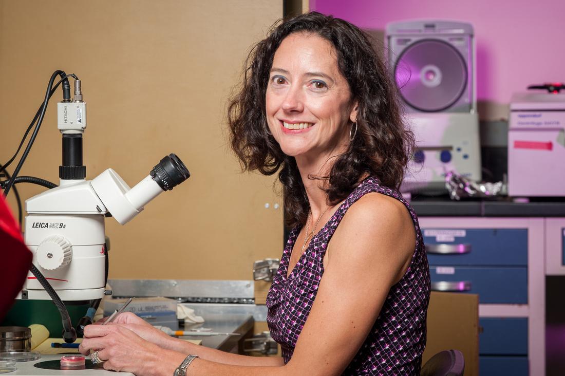 Dr. Lisa Taneyhill in lab