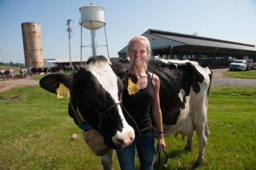 Cow with student on dairy farm