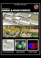 Spring 2013 Cover