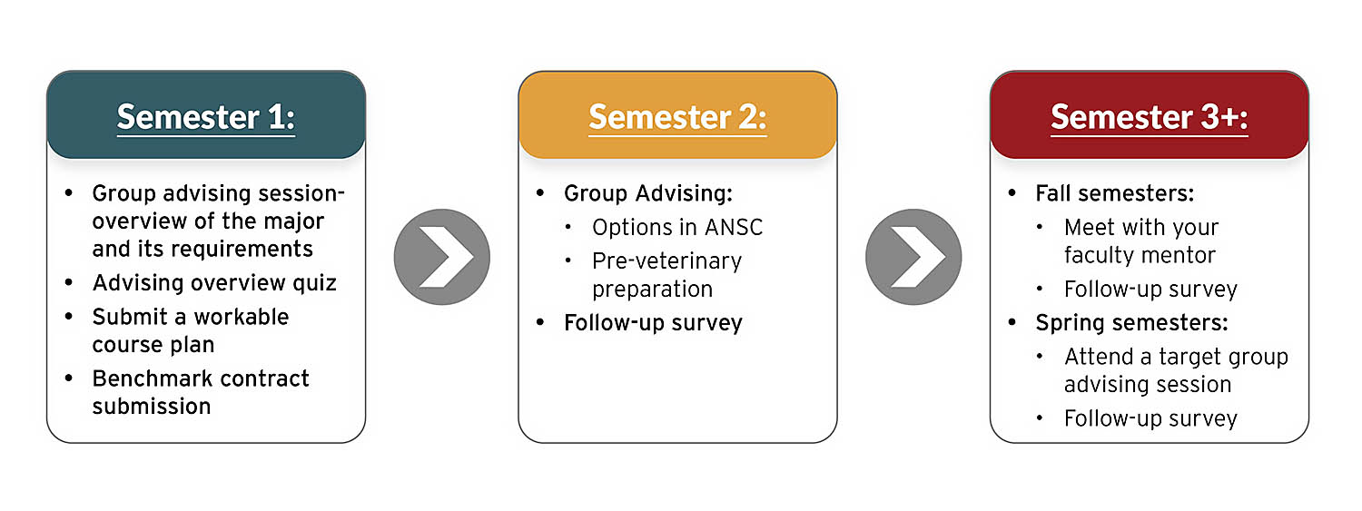ANSC undergrad advising graphic