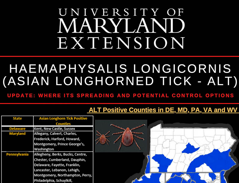 Asian Longhorned Tick Update-2022