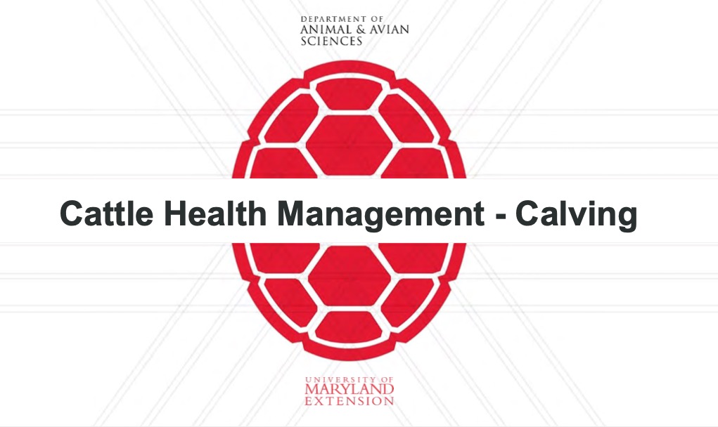 Cattle Health Management-Calving slides