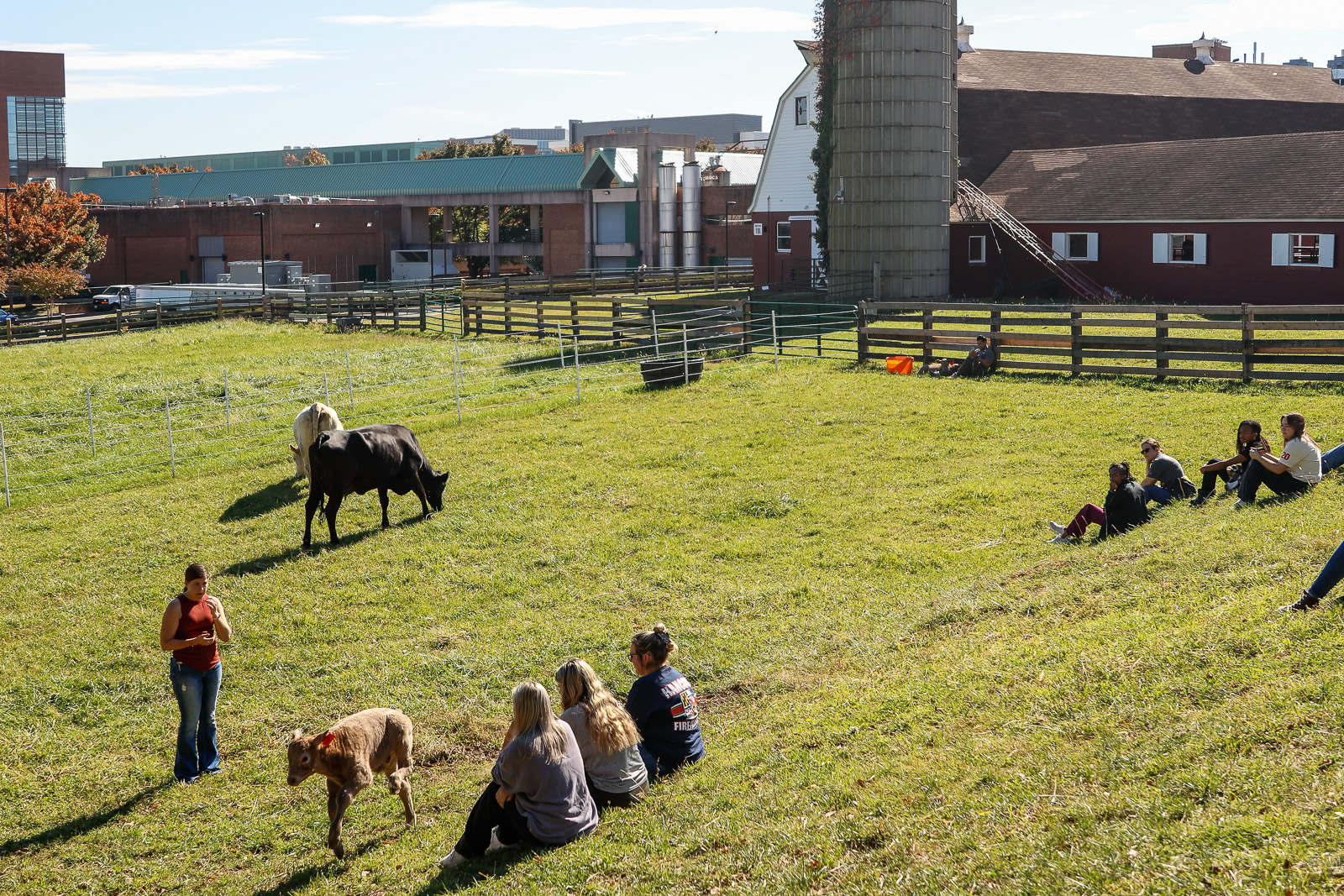 ANSC 246 class in pasture
