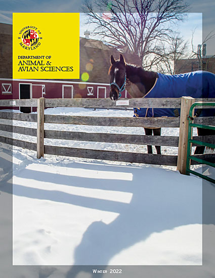 Snowy day with horse and barn